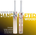 Kashmir Willow Cricket Bat Play with Tennis Ball Sturdy Grip Short Handle Store
